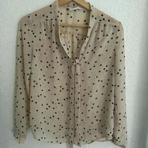 Coincidence & Chance Sheer Button Down Blouse